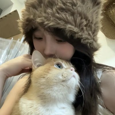 恋爱研究所