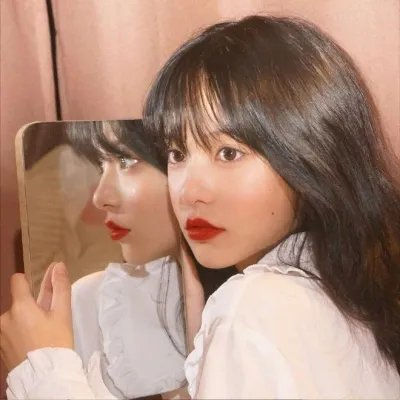 无言的树